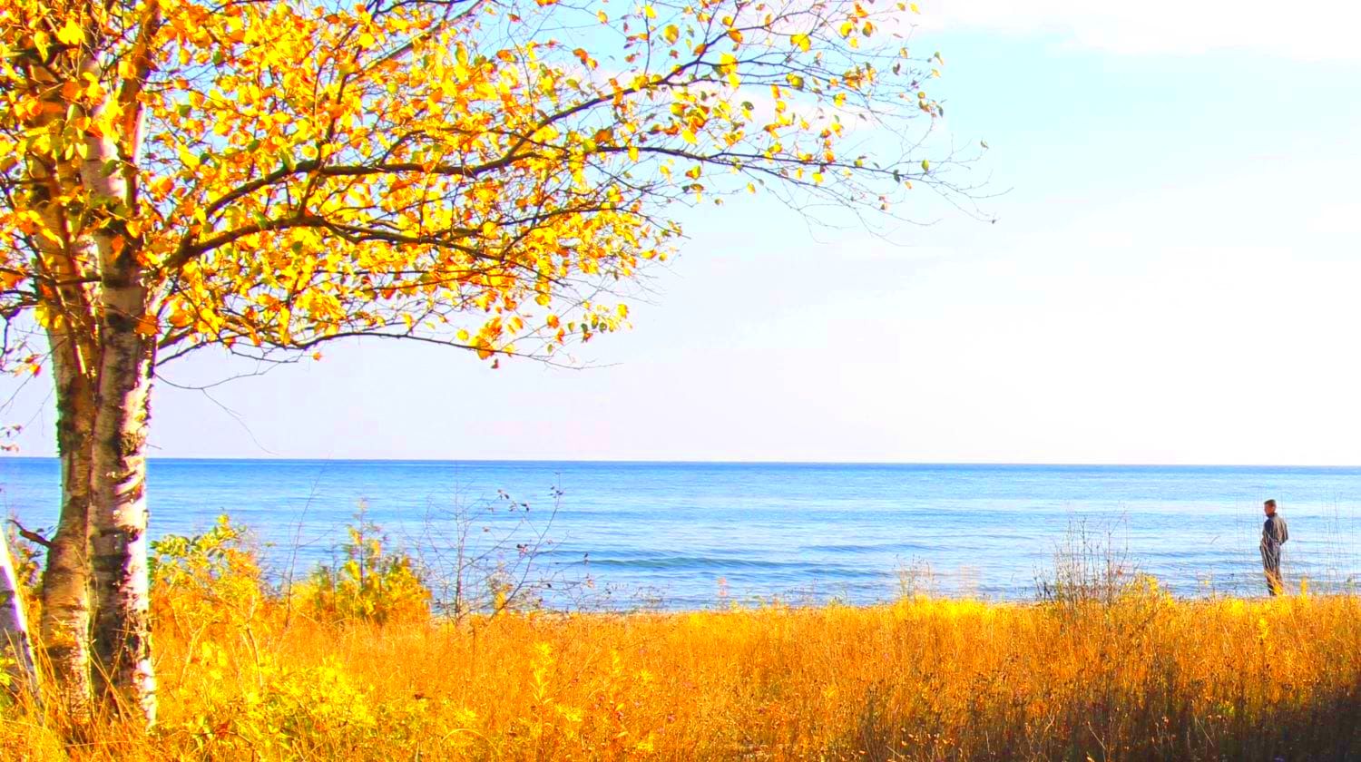 Nature scenery